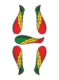 B5