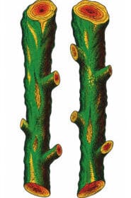B02