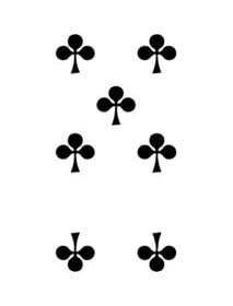 Fiori 07